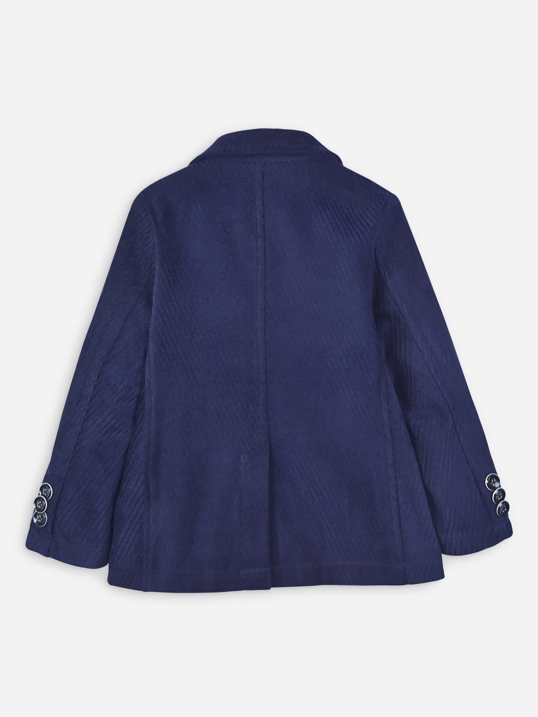 Dark Purple Velvet Striped Kids Blazer